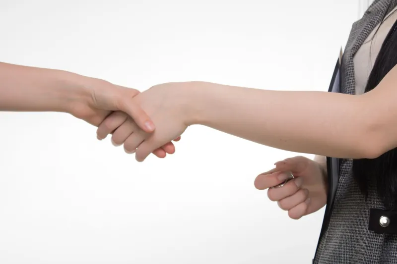 Mutual Protection, Mutual Respect: The Case for Rigorous Screening in Elite Companionship